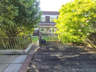 Picture 17